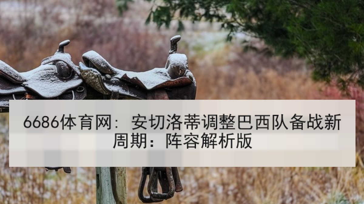6686体育网: 安切洛蒂调整巴西队备战新周期：阵容解析版
