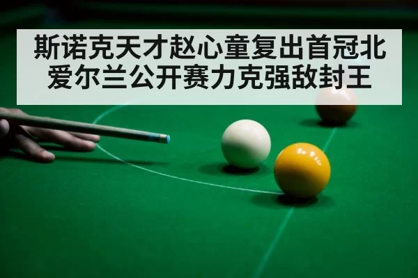 斯诺克天才赵心童复出首冠北爱尔兰公开赛力克强敌封王