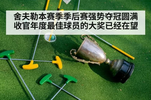 舍夫勒本赛季季后赛强势夺冠圆满收官年度最佳球员的大奖已经在望